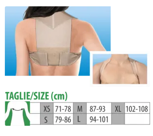 Image of Raddrizzaspalle Tg.XL Clia Ortho033