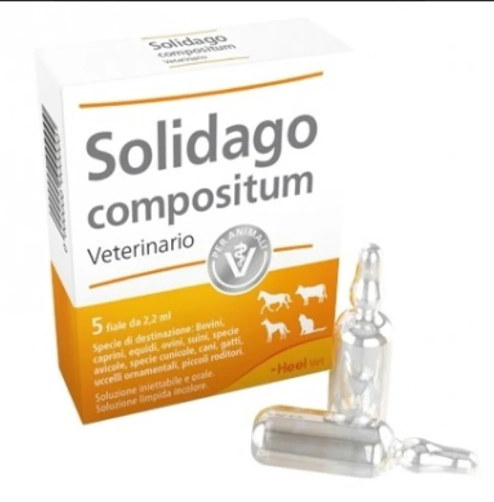 

Solidago Compositum Veterinario Heel 5 Fiale Da 2,2ml