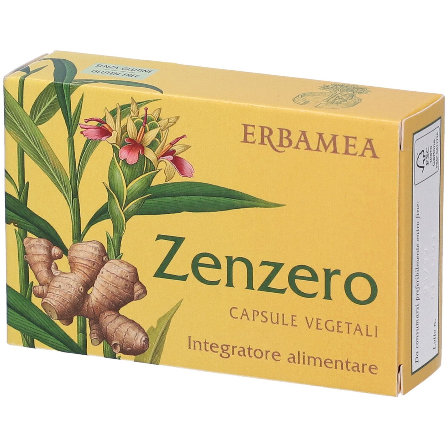 Erbamea Zenzero 24 Capsule