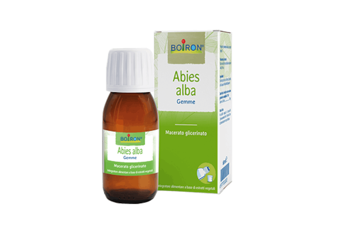 Image of Abies Alba Gemme MG Boiron 60ml033