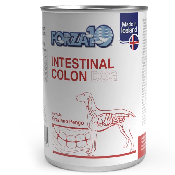 Image of Intestinal Colon Dog Forza10 390g033