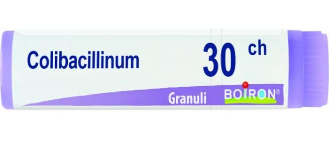 Image of Colibacillinum 30CH Boiron Granuli 1 Tubo033