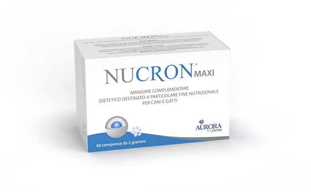 Nucron Maxi - Maxi - 60 cpr