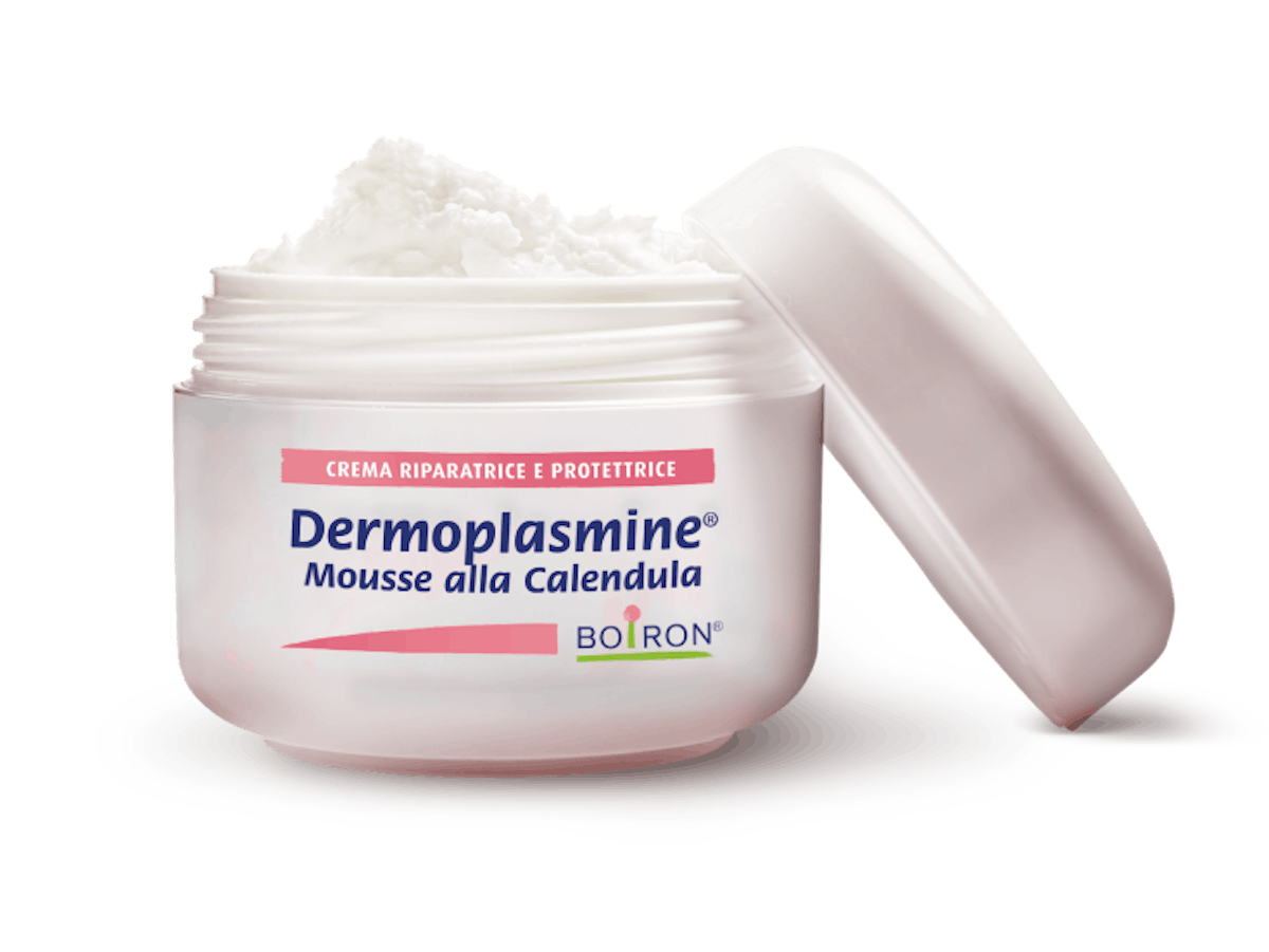 Dermoplasmine(R) Mousse Boiron 20g