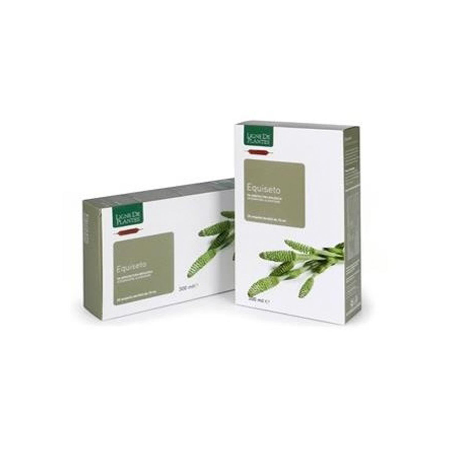 

Equiseto Lignes De Plantes 20x15ml