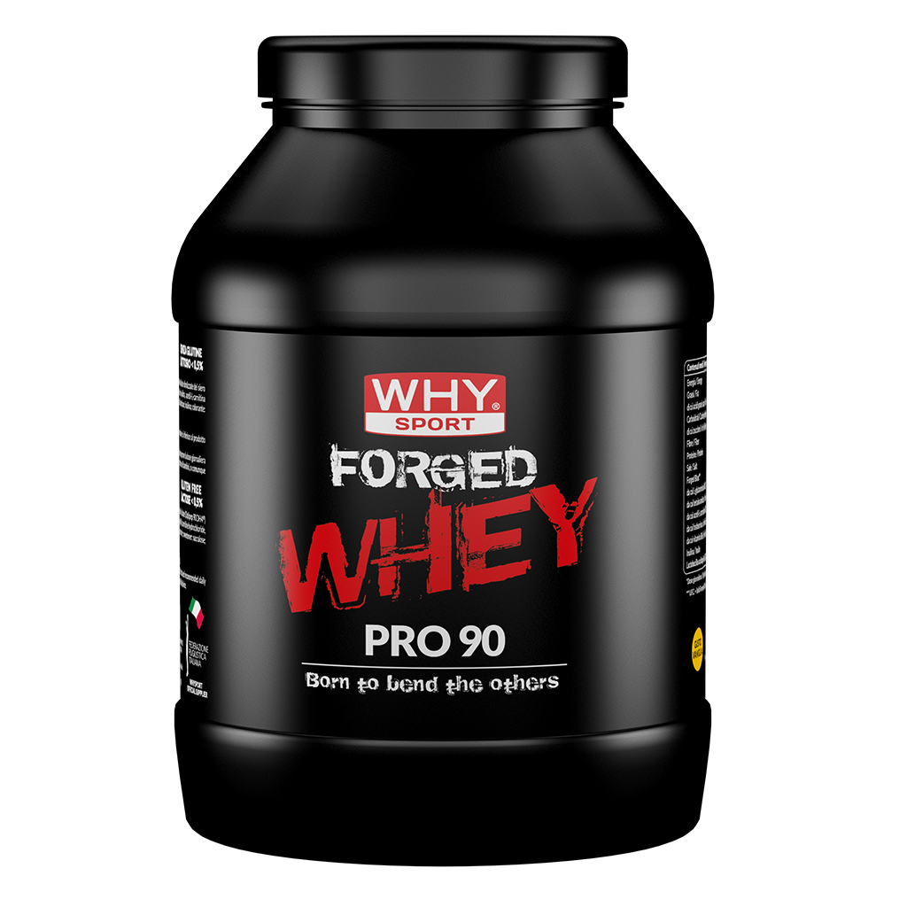Image of FORGED WHEY PRO 90 WHY SPORT Cacao 900g
