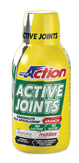 Image of ACTIVE JOINTS PROACTION(R) 500ml