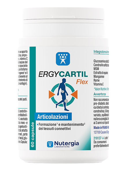 Image of Ergycartil Flex Nutergia Laboratoire 60 Capsule033