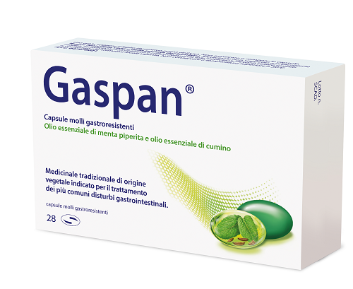 Image of Gaspan Schwabe 28 Capsule Molli Gastroresistenti033