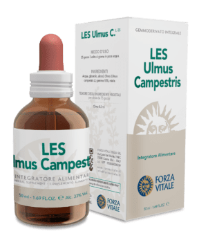 Image of Les Ulmus Campestris Forza Vitale 50ml033