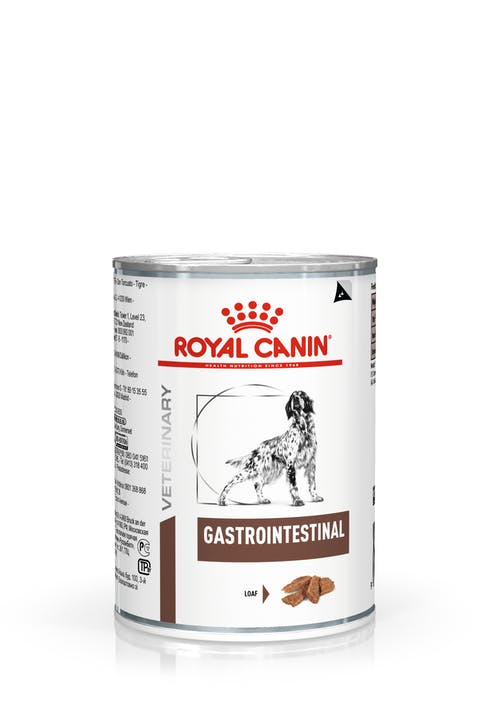 Image of Dog Diet Gastrointestinal Royal Canin 400g