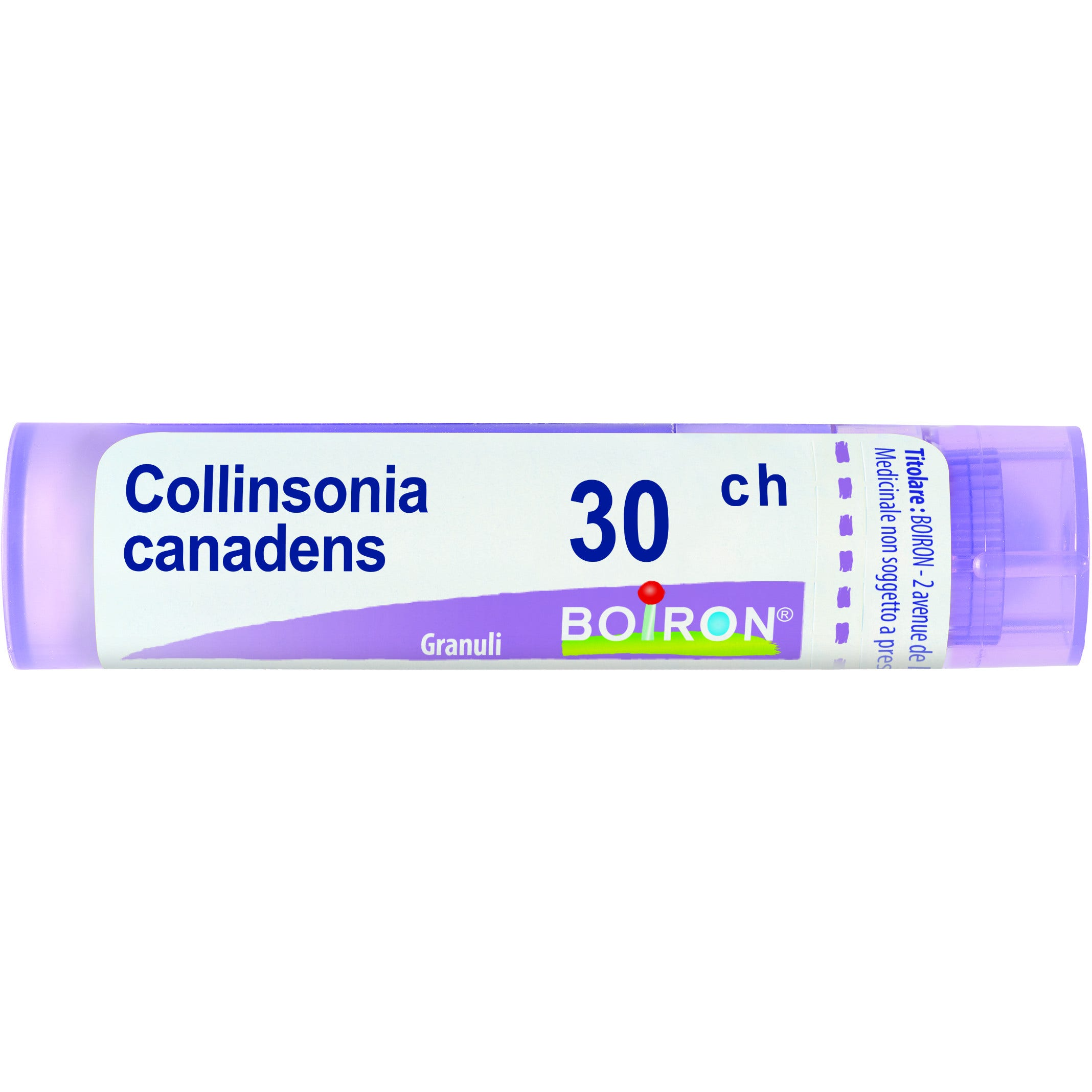 Collinsonia Canadens 30CH Boiron 80 Granuli