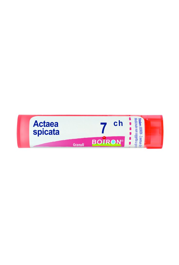 Actaea Spicata 7CH Boiron 80 Granuli 4g