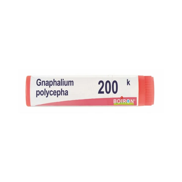 Image of Gnaphalium Polycephalus 200K Boiron Globuli 1g033