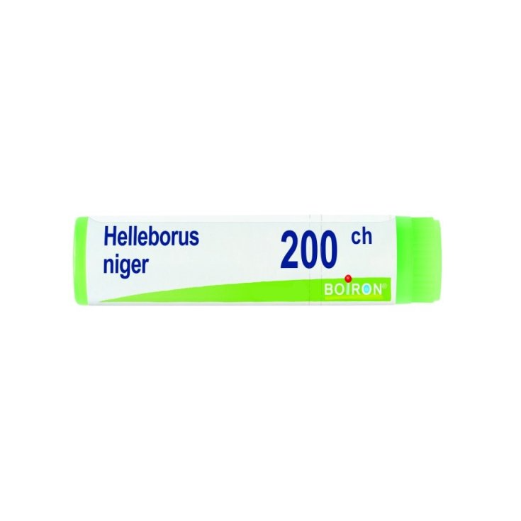 Image of Helleborus Niger 200CH Boiron Globuli 1g033