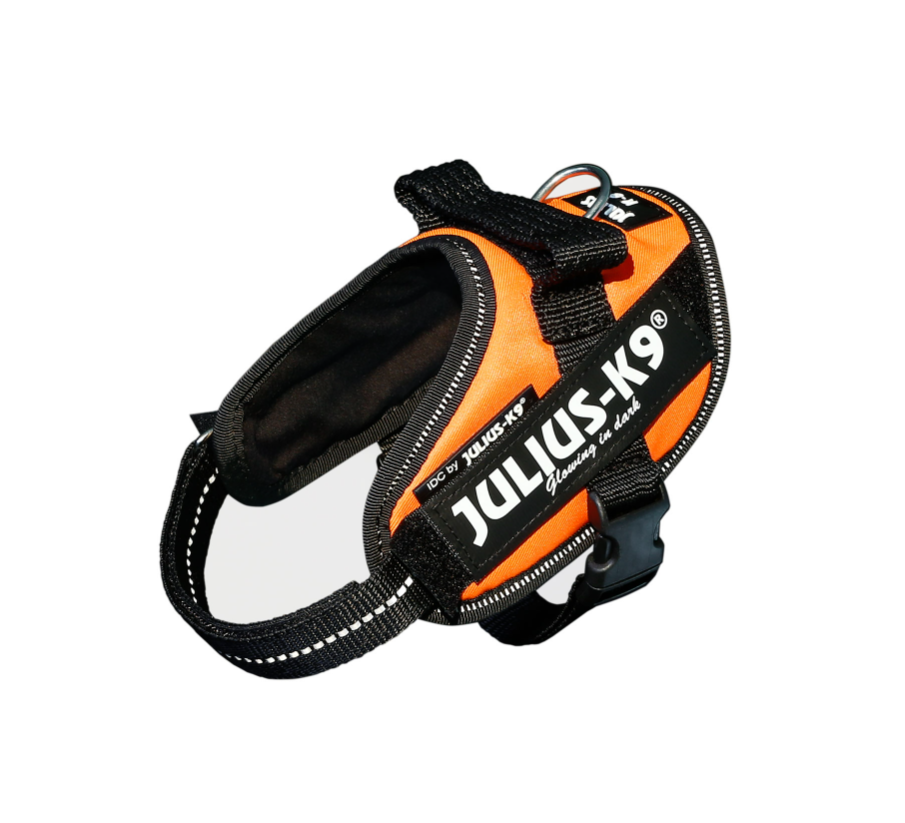 Image of Pettorina Arancio Tg.Mini IDC Power Harness Julius-K9033