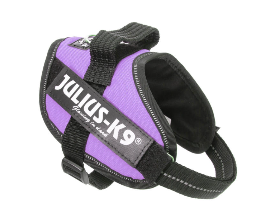 Image of Pettorina Porpora Tg.Mini IDC Power Harness Julius-K9033