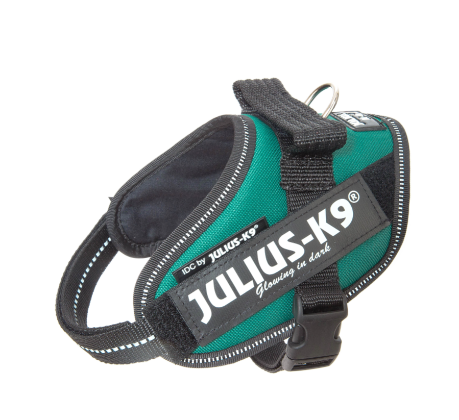 Image of Pettorina Verde Tg.Mini Mini IDC Power Harness Julius-K9