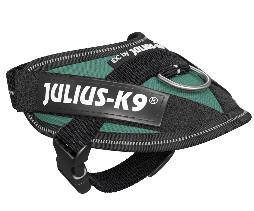 Image of Pettorina Verde Tg.Baby 1 IDC Power Harness Julius-K9033