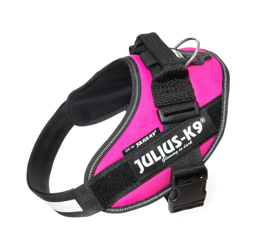 Image of Pettorina Dark Pink Tg.Mini Mini IDC Power Harness Julius-K9