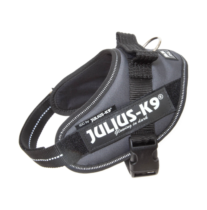 Image of Pettorina Grigio Tg.Mini Mini IDC Power Harness Julius-K9