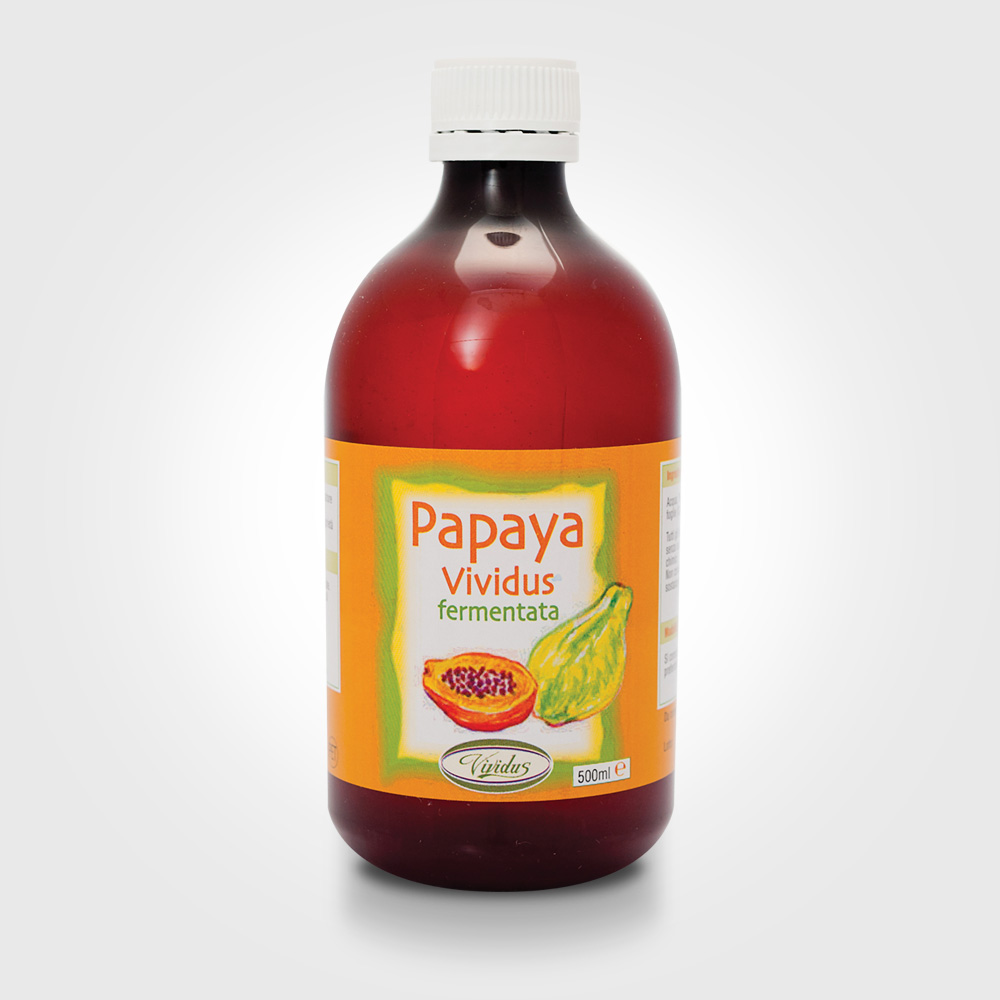 Image of Papaya Fermentata Vividus 500ml033