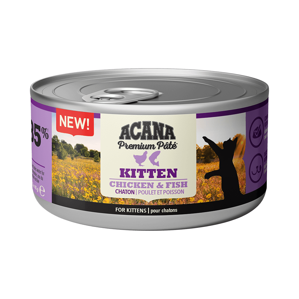 Image of Premium Patè for Kitten Acana 85g