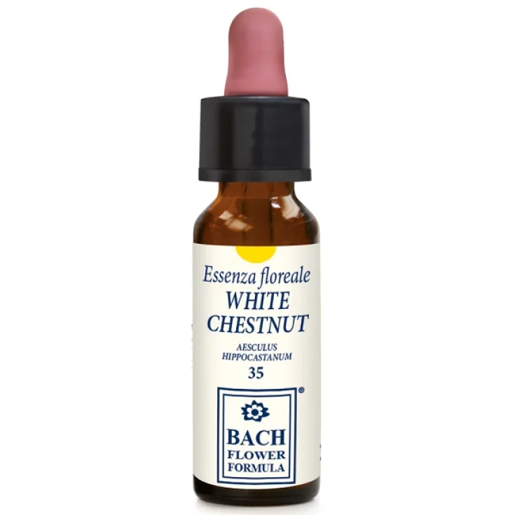 Image of bianco Chestnut Original 10ml033