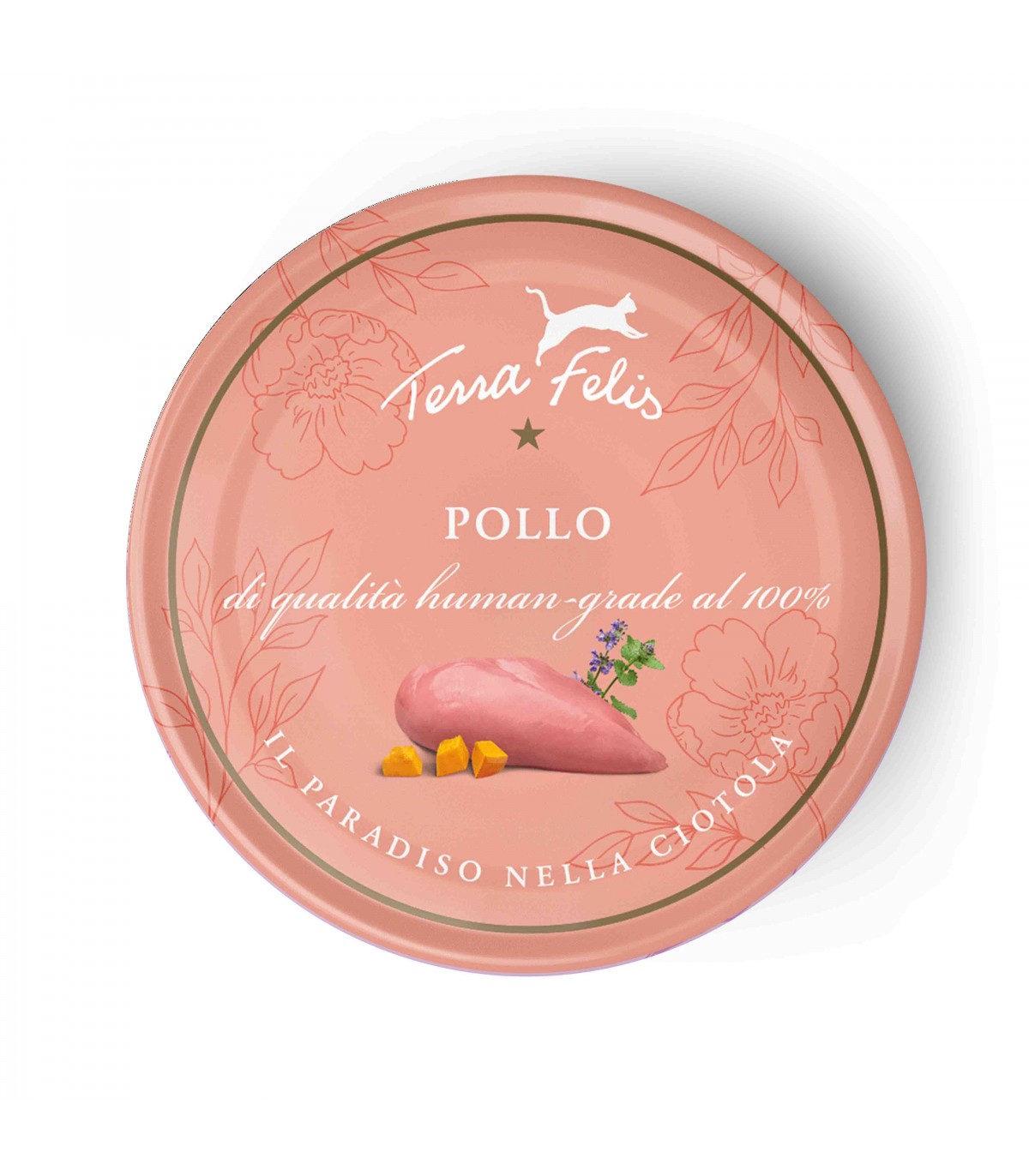 Image of Adult Pollo - 80GR