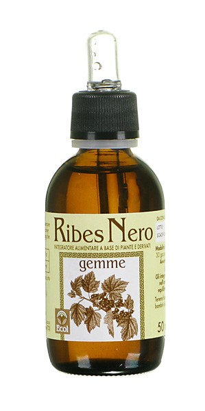 

Ecol Ribes Nero Gemme Estratto Analcolico 50ml