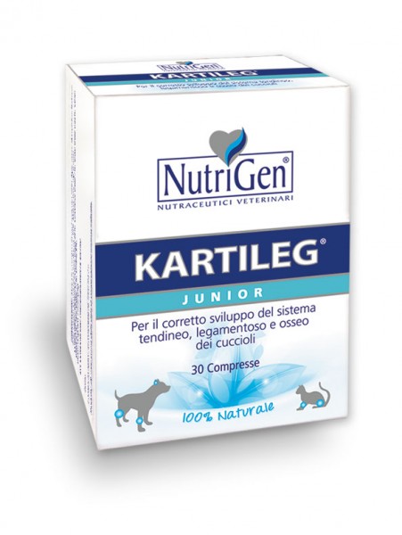 Image of Kartileg Junior - 30X1GR033