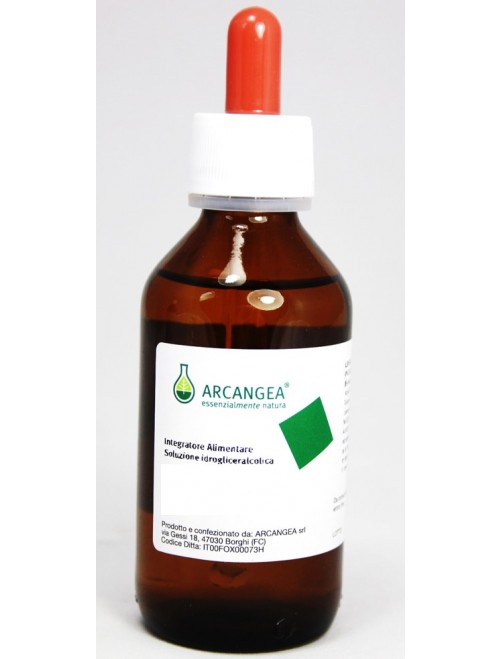 Image of Arcangea Ficus Carica Integratore Alimentare 100ml033