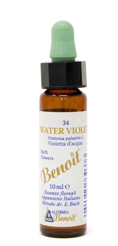 

Alchimia Benoit Fiori Di Bach Water Violet 10ml