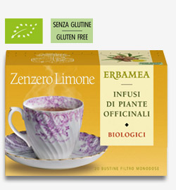 Image of Erbamea Zenzero E Limone Biologico 20 Bustinec033