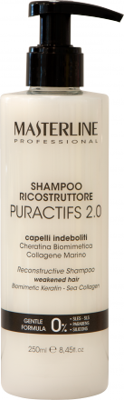 Masterline Pro Shampoo Puractifs 100ml