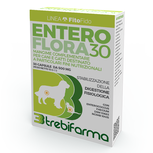 Trebifarma Enteroflora 30 30 Capsule