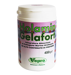 Image of Holamin Gelafort Polvere Integratore Alimentare 450g