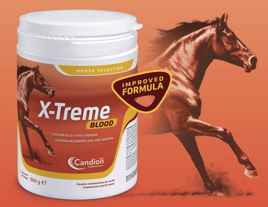 Image of X-treme Blood 600g033