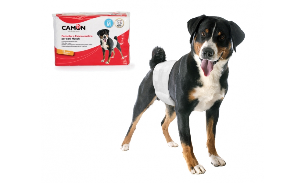 

Camon Pannolini A Fascia Elastica Per Cani Maschi Misura 1 12 Pezzi