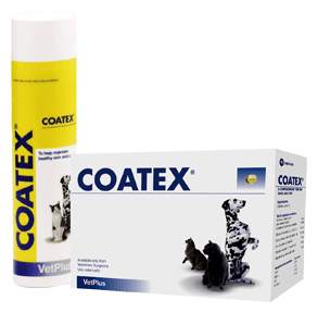

Coatex 65ml
