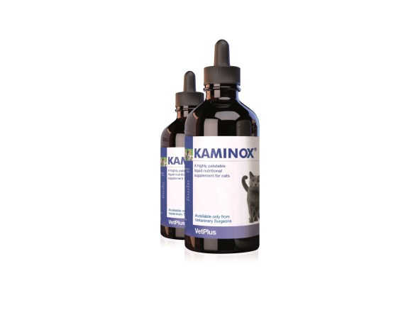 Image of Kaminox Sciroppo - 60ML033