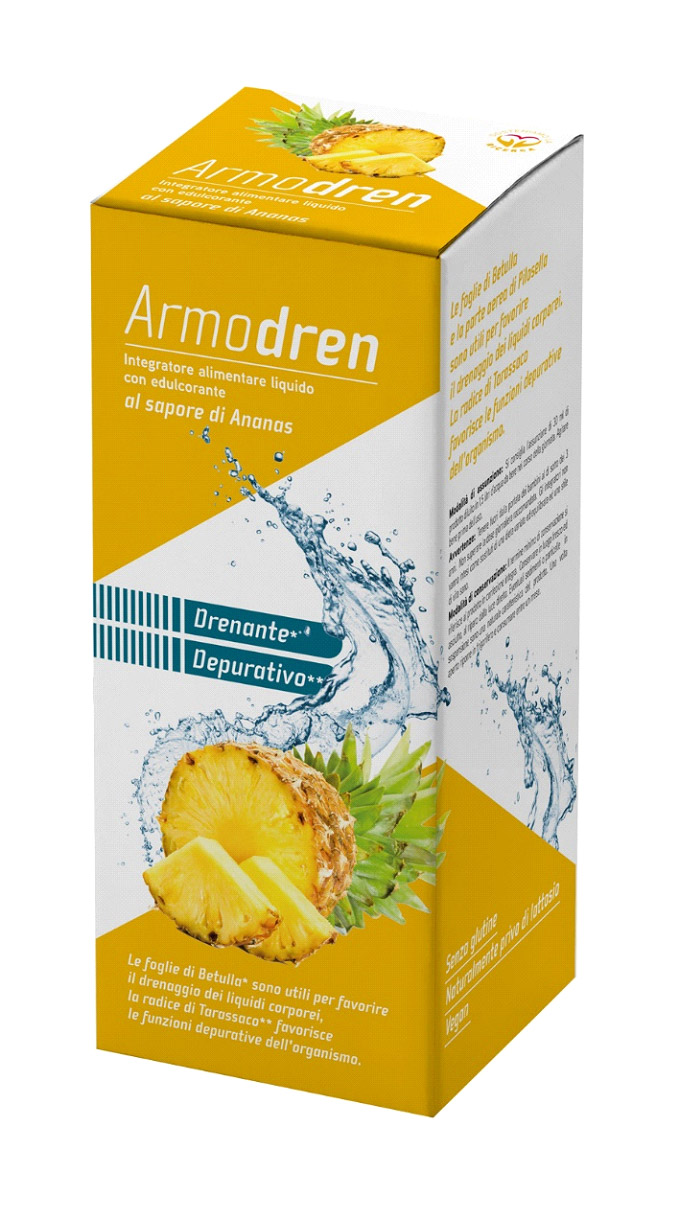 Image of Armodren Gusto Ananas 500ml033