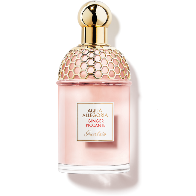 Image of GUERLAIN AQUA ALLEG GINGER EDT125V033