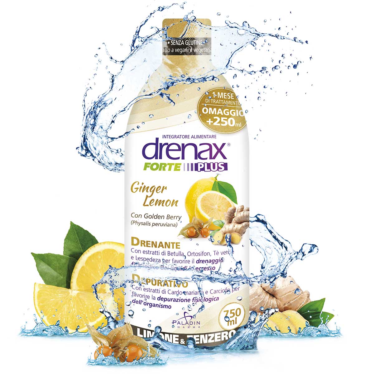 Image of Drenax(R) Forte Ginger Lemon Plus Paladin Pharma 750ml033