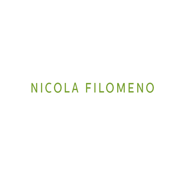 Image of Nicola Filomeno F Protein Polvere Integratore Alimentare 250g