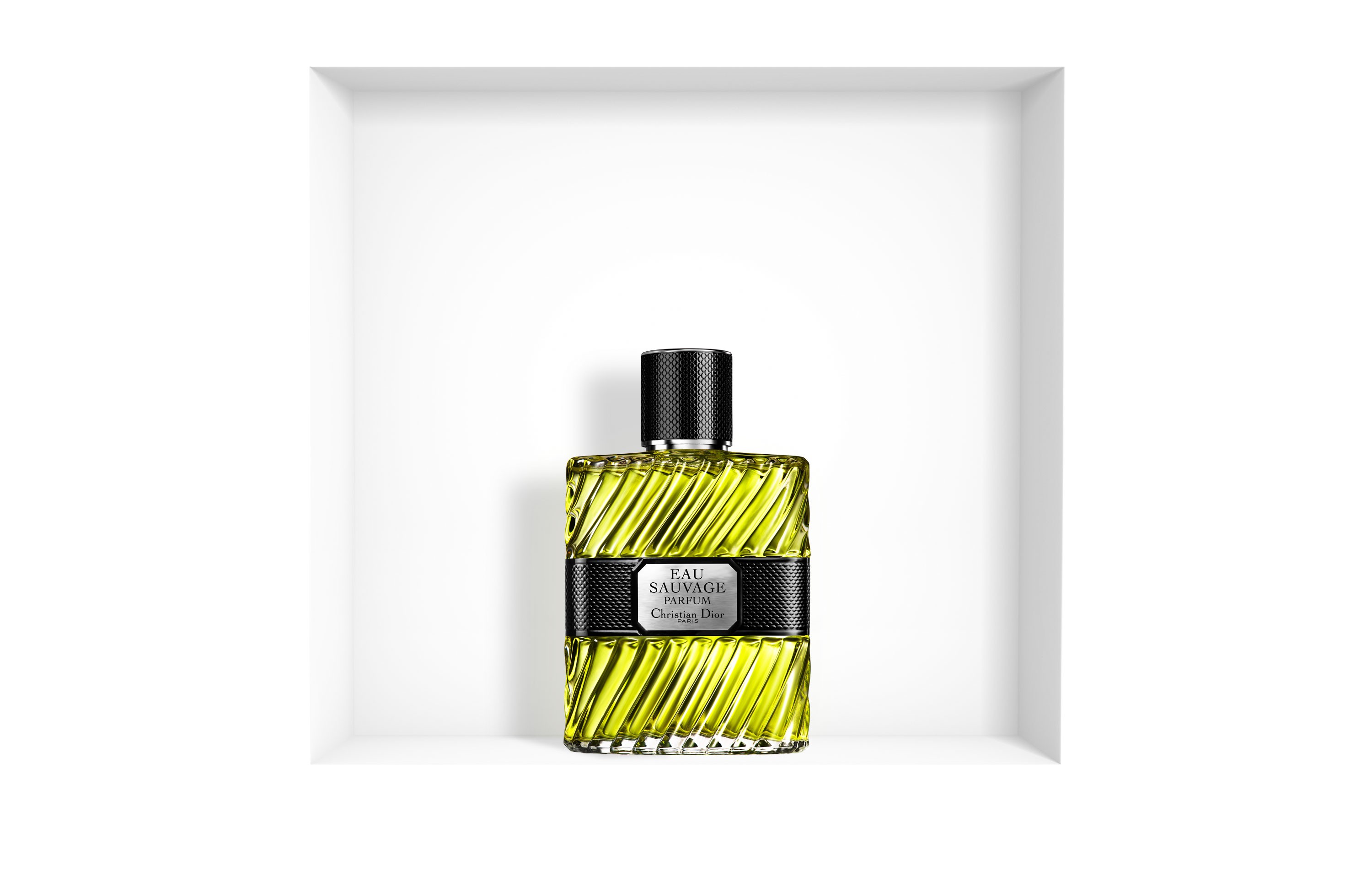 

*@DIOR EAU SAUVAGE EDP 100 VAPO