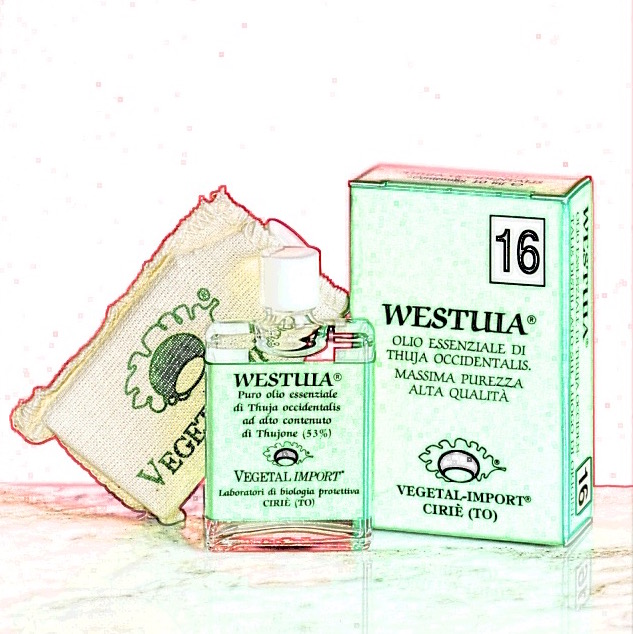 Image of Westuia(R) Vegetal Progress 10ml033