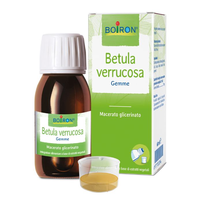 

Betula Verrucosa Boiron 60ml