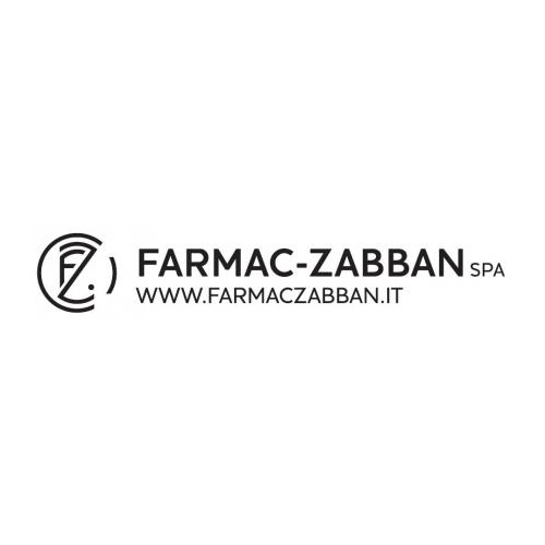 Farmac-Zabban Meds Medicazione In Tnt Fix 100x25cm