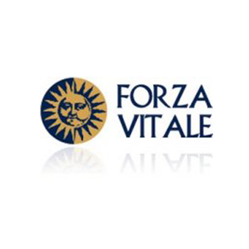 Image of Forza Vita Sys Aglio 50ml033